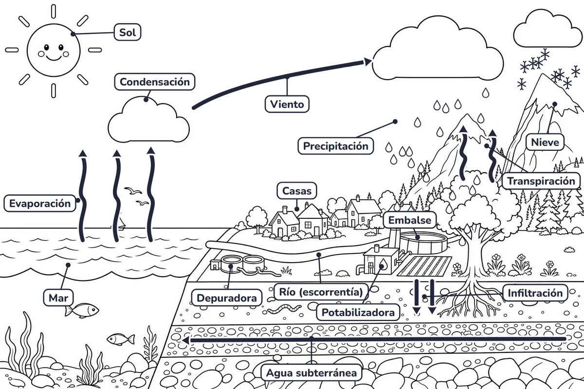 Dibujo del ciclo del agua para colorear