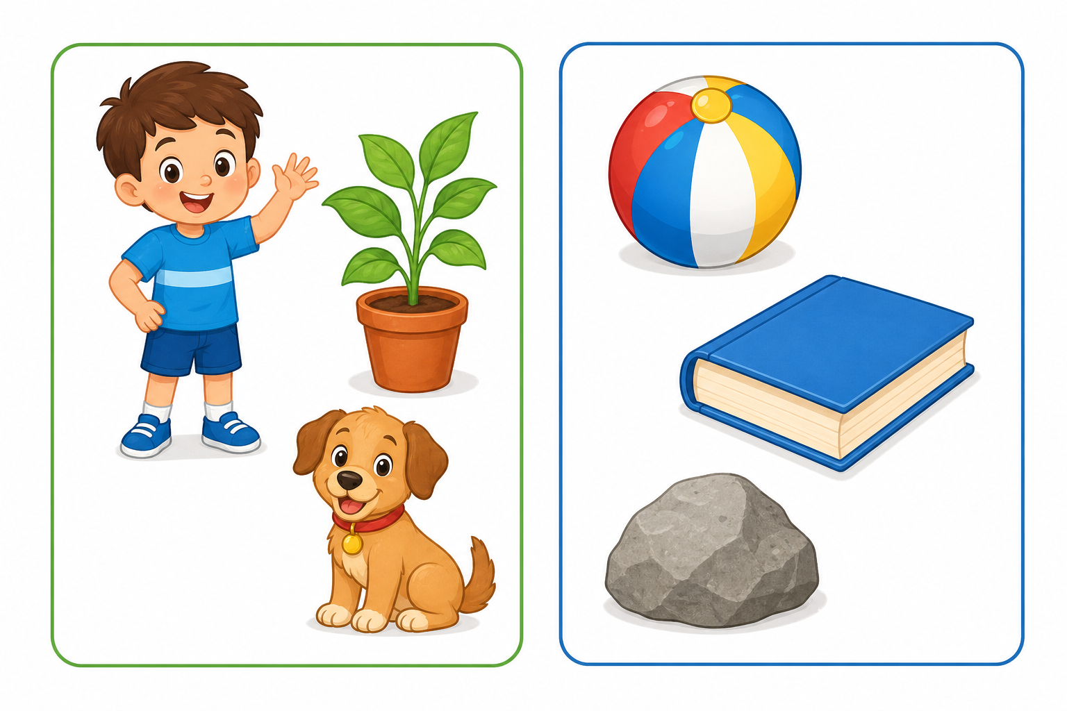 Seres vivos y no vivos