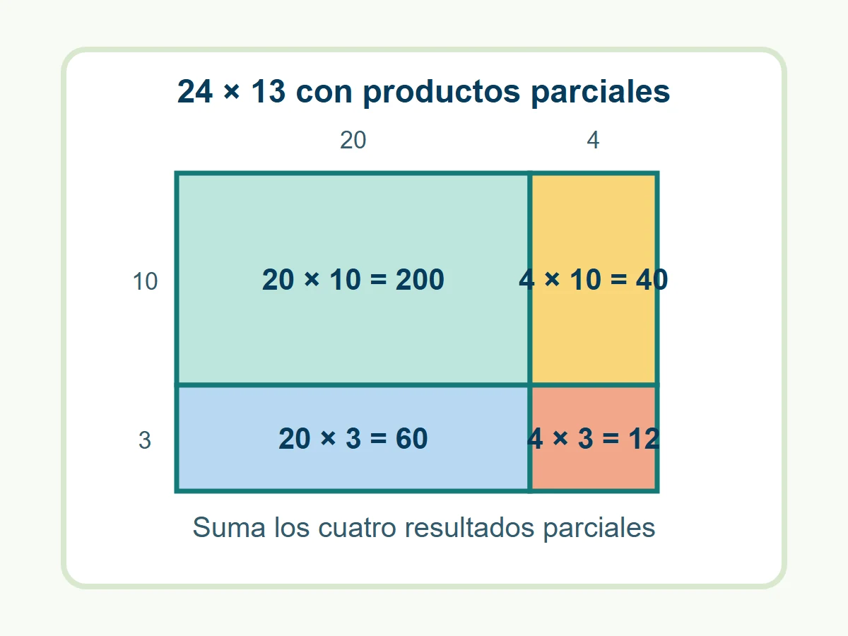 Modelo de área que descompone 24 por 13 en cuatro productos parciales